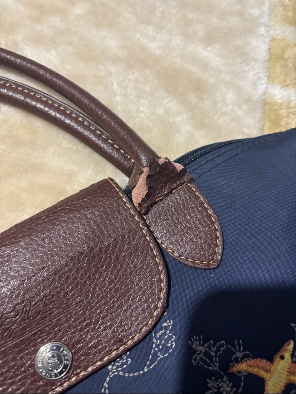 Longchamp Limitee Edition Embroidered Tote Bag - Picture 6 of 12